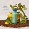 imageHarrys Mens Body Wash Shower Gel  Spring 16 Fl Oz Pack of 316 Fl Oz Pack of 3