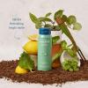 imageHarrys Mens Body Wash Shower Gel  Shiso 16 Fl Oz Pack of 3Shiso