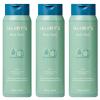 imageHarrys Mens Body Wash Shower Gel  Shiso 16 Fl Oz Pack of 3Shiso